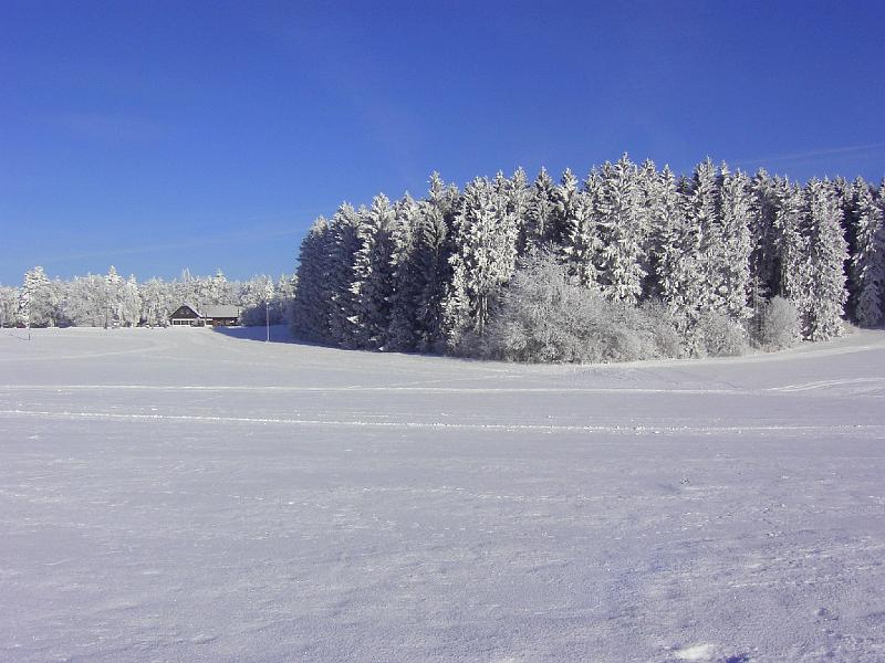 Skihütte (23).JPG